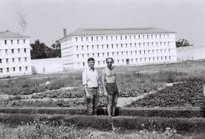 Dans le potager